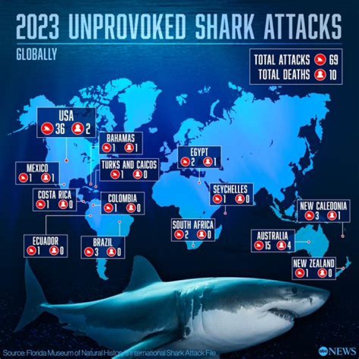 Beware: Unveiling The Truth About Hilton Head's Shark Attacks