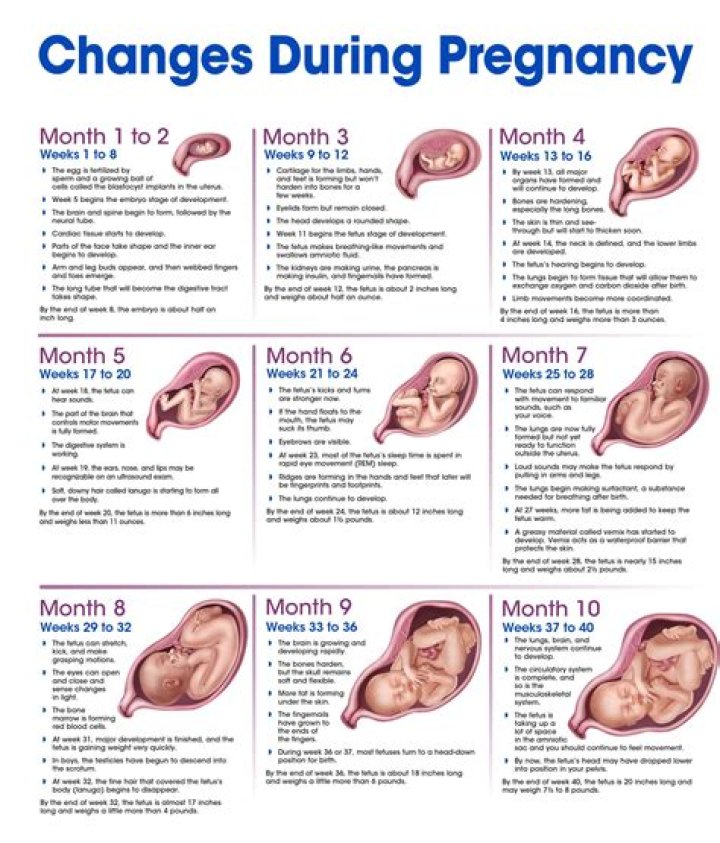 Daphne Oz's Pregnancy Journey: Expecting A Little One In 2024