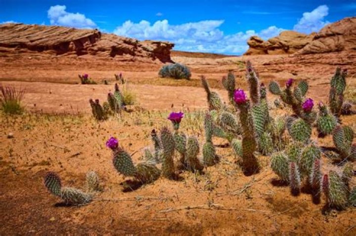 Discover Arizona's Tapestry: Exploring The Past And Present