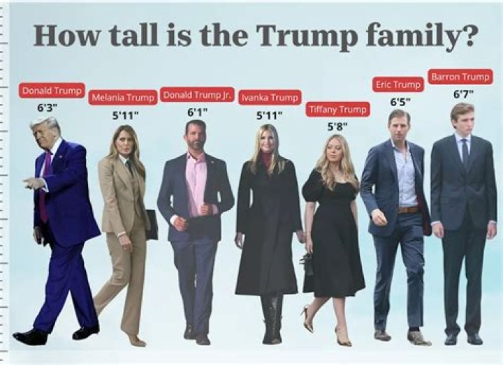 Eugene Levy's Height: How Tall Is The Acclaimed Actor?