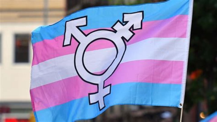 Is Lilli.kay Really Transgender? Find Out The Truth
