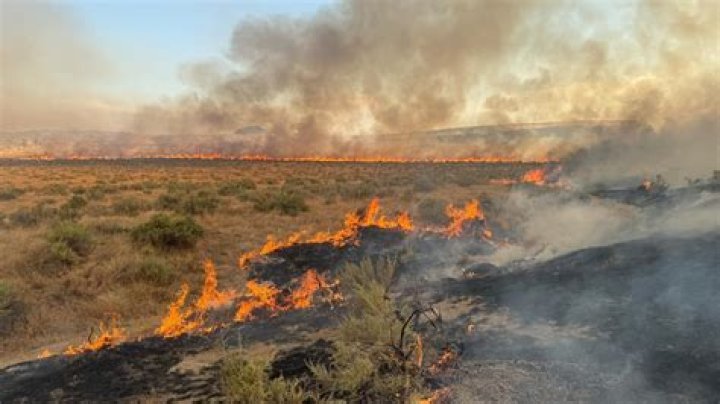 Latest News: Owyhee Fire Update And Impact