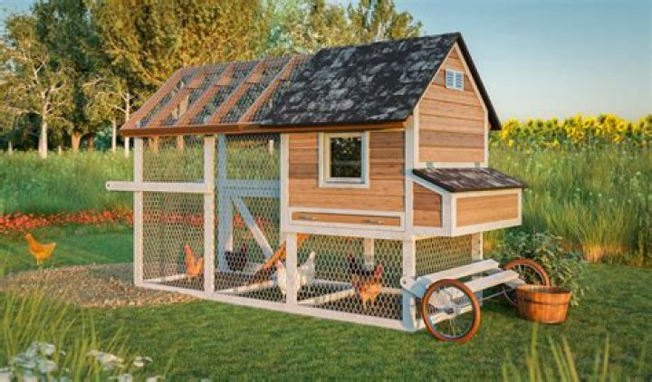 The Essential Guide To Coop Kitties: Raising Cats In Chicken Coops