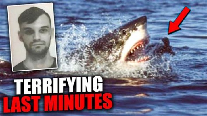 The Ultimate Guide To The Mysterious Popov Shark: Uncovering Its Secrets