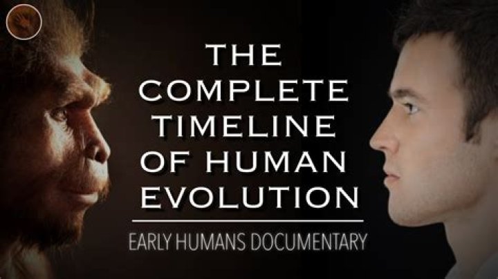 Uncover The Origins Of Babytrom: Exploring Its Roots And History