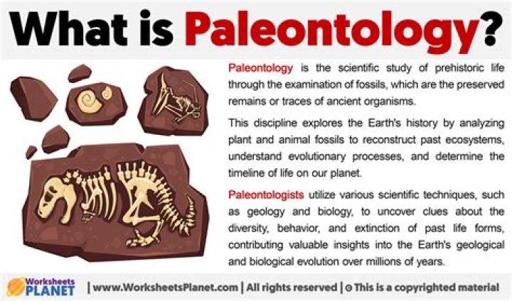 Uncover The Wonders Of Paleontology: A Cinematic Adventure For The Curious